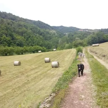 Apartmán Borgoletto *