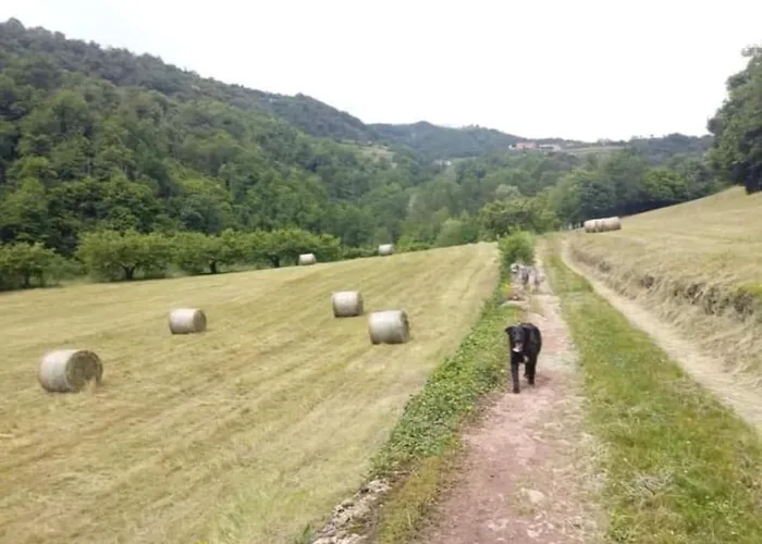 Apartmán Borgoletto *